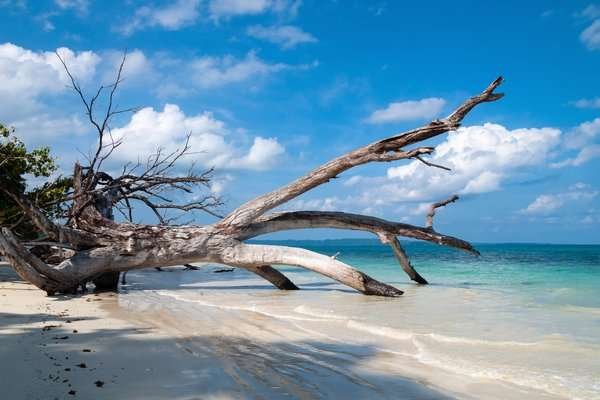 Andaman Scuba Snorkeling Tour Package | Andaman